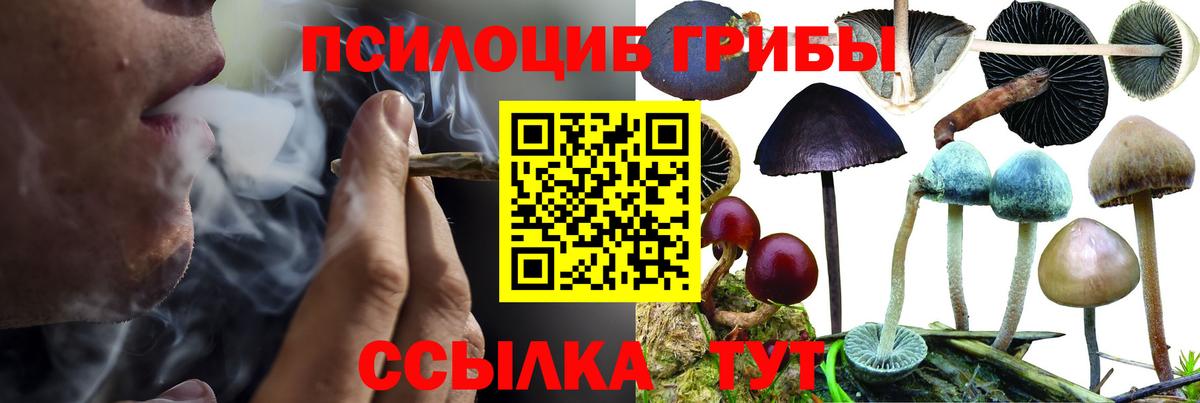 Гагарин  Галлюциногенные грибы ЛСД  Галлюциногенные грибы мицелий  Вход с VPN 